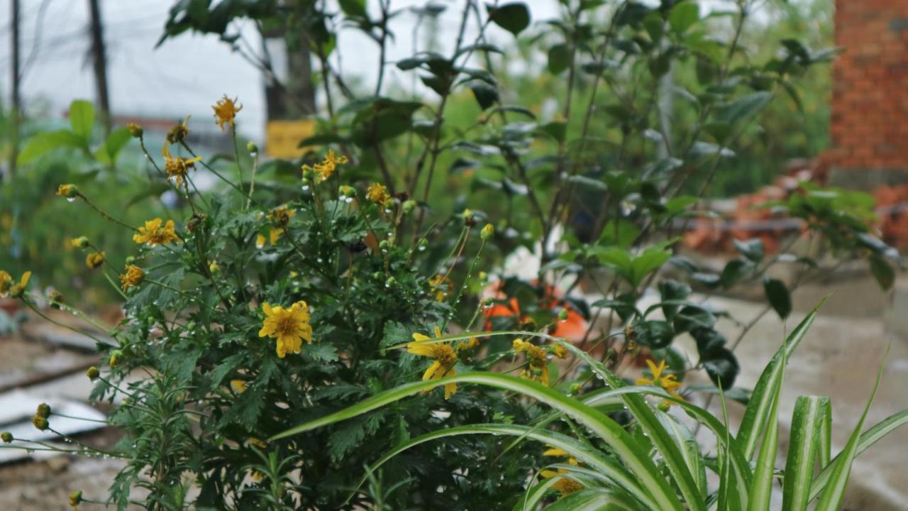 Bed and Breakfast Komori House à Đà Lạt Extérieur photo